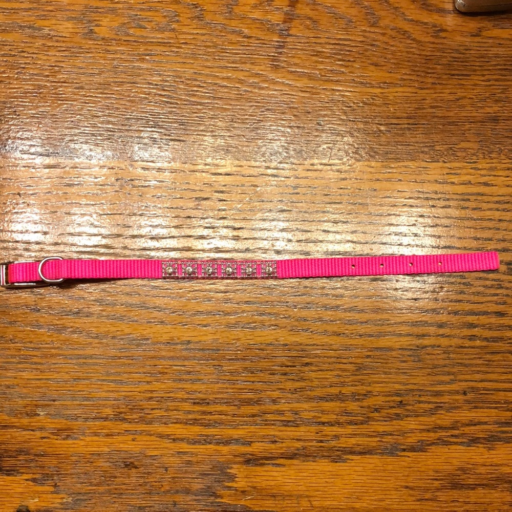 Dog Leash